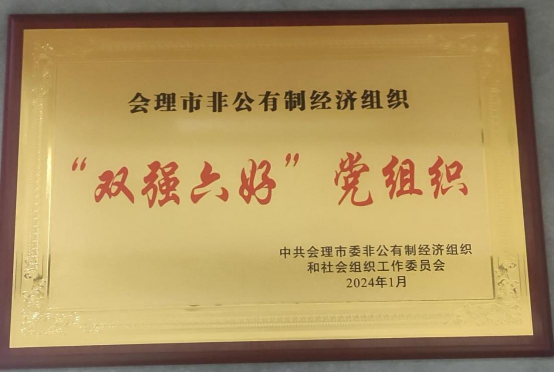喜訊！礦業(yè)總公司財通公司黨支部榮獲會理市“雙強六好”黨組織稱號