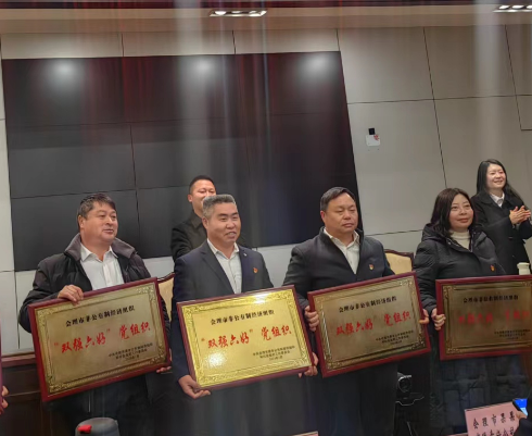 喜訊！礦業(yè)總公司財通公司黨支部榮獲會理市“雙強(qiáng)六好”黨組織稱號(圖2)