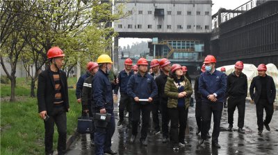 省統(tǒng)計局到川威集團(tuán)博威能源調(diào)研